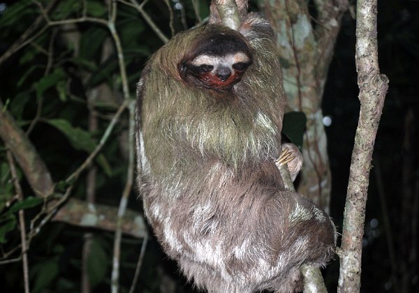 2015 Costa Rica San Blas